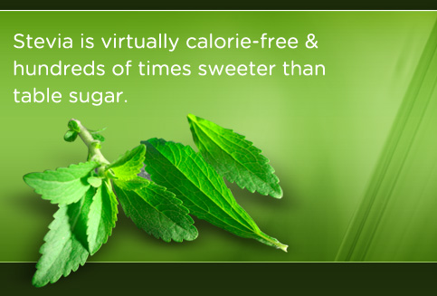 La mia storia - Aida • VULVODINIA.INFO - Pagina 3 Img-what-is-stevia